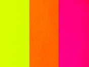 Neon leather in different colors